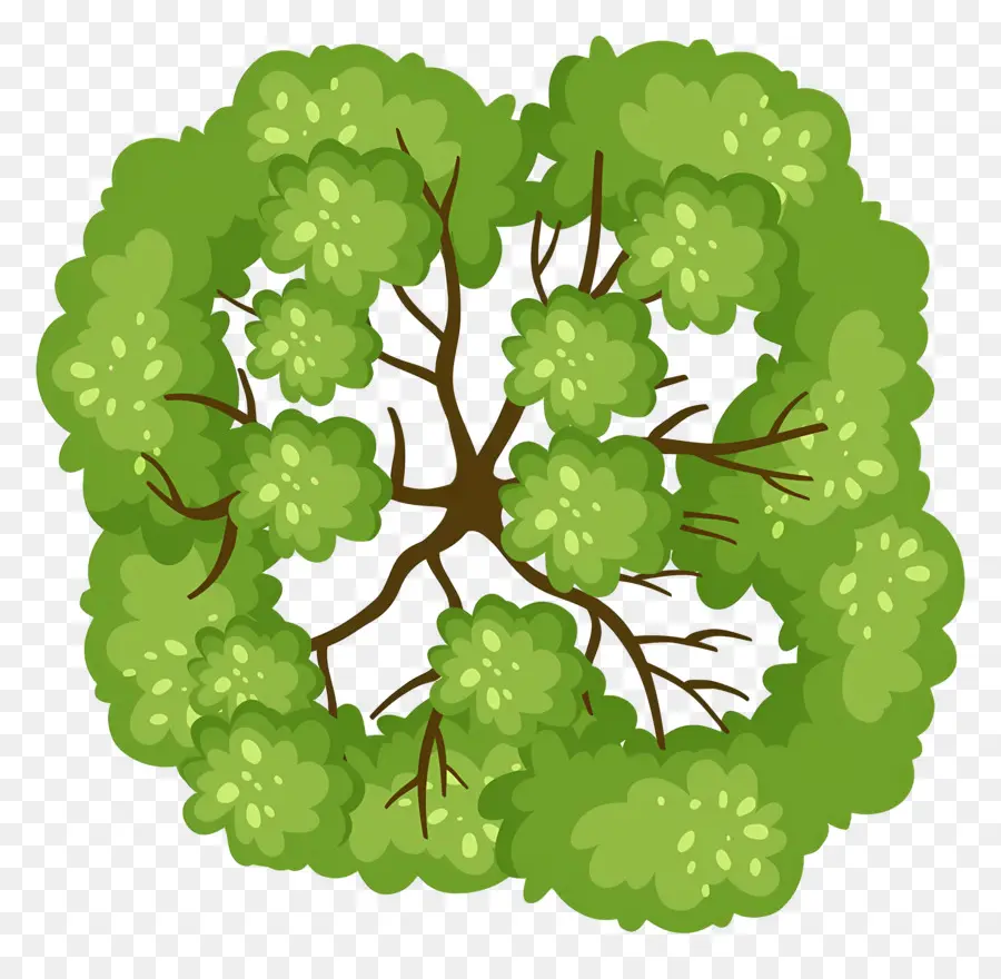 Plano De árbol，Árbol PNG