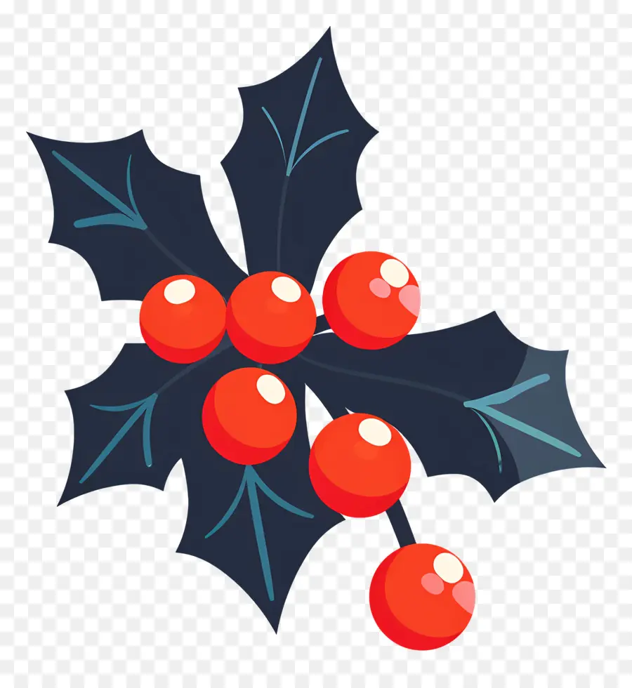 Acebo De Navidad，Bayas De Acebo PNG