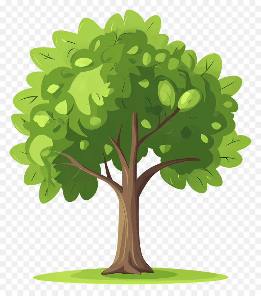 árbol Denso，Árbol PNG