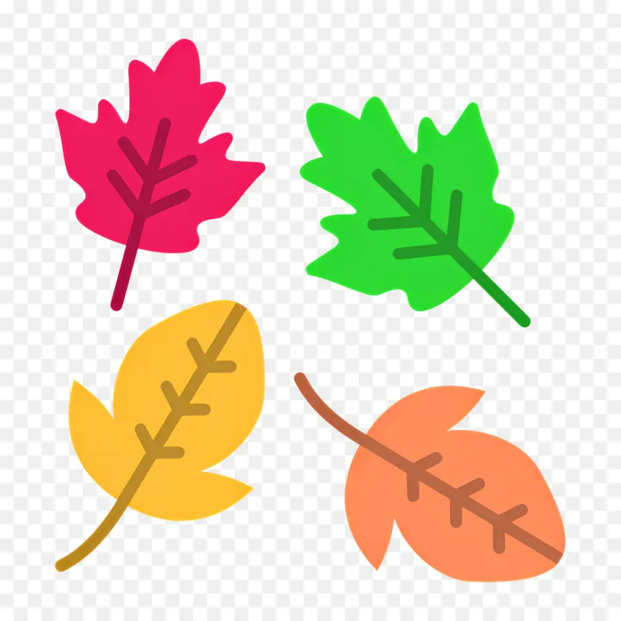 Follaje De Otoño，Hojas Coloridas PNG