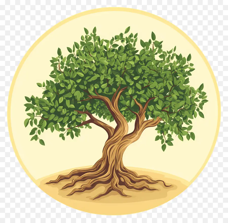 árbol Con Raíces，Árbol PNG