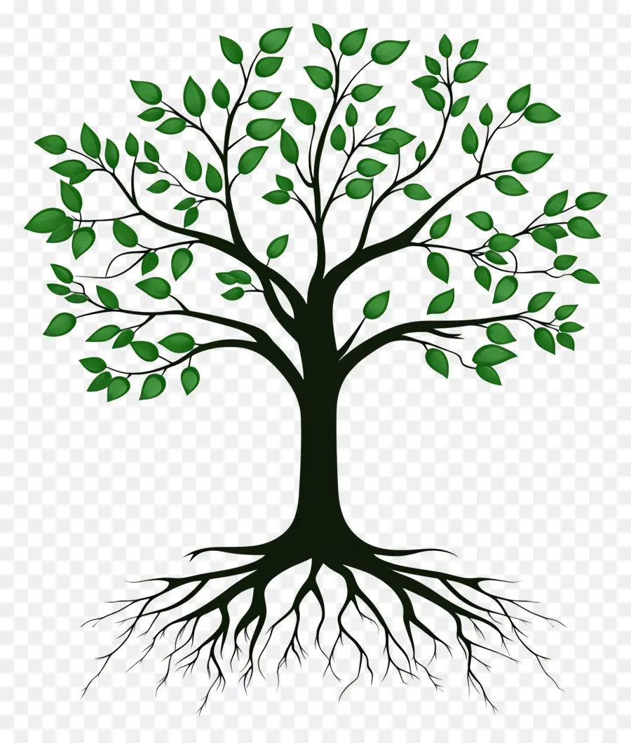 árbol Con Raíces，Árbol PNG