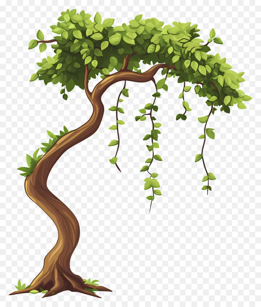 árbol Denso，Árbol PNG