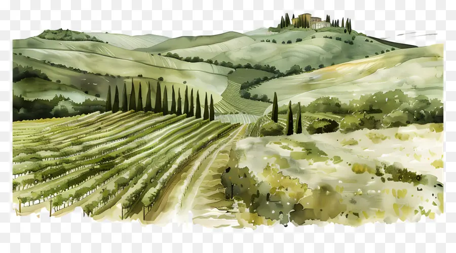 Italia Paisaje，Campo PNG