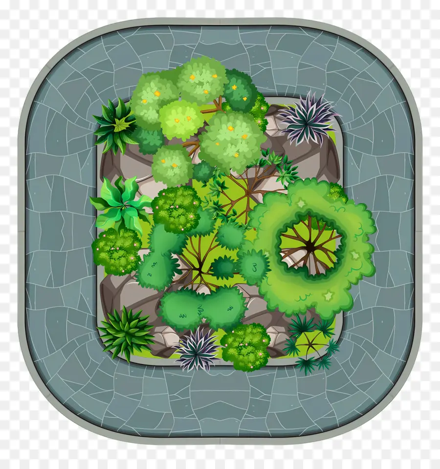 Plano De árbol，Jardín PNG