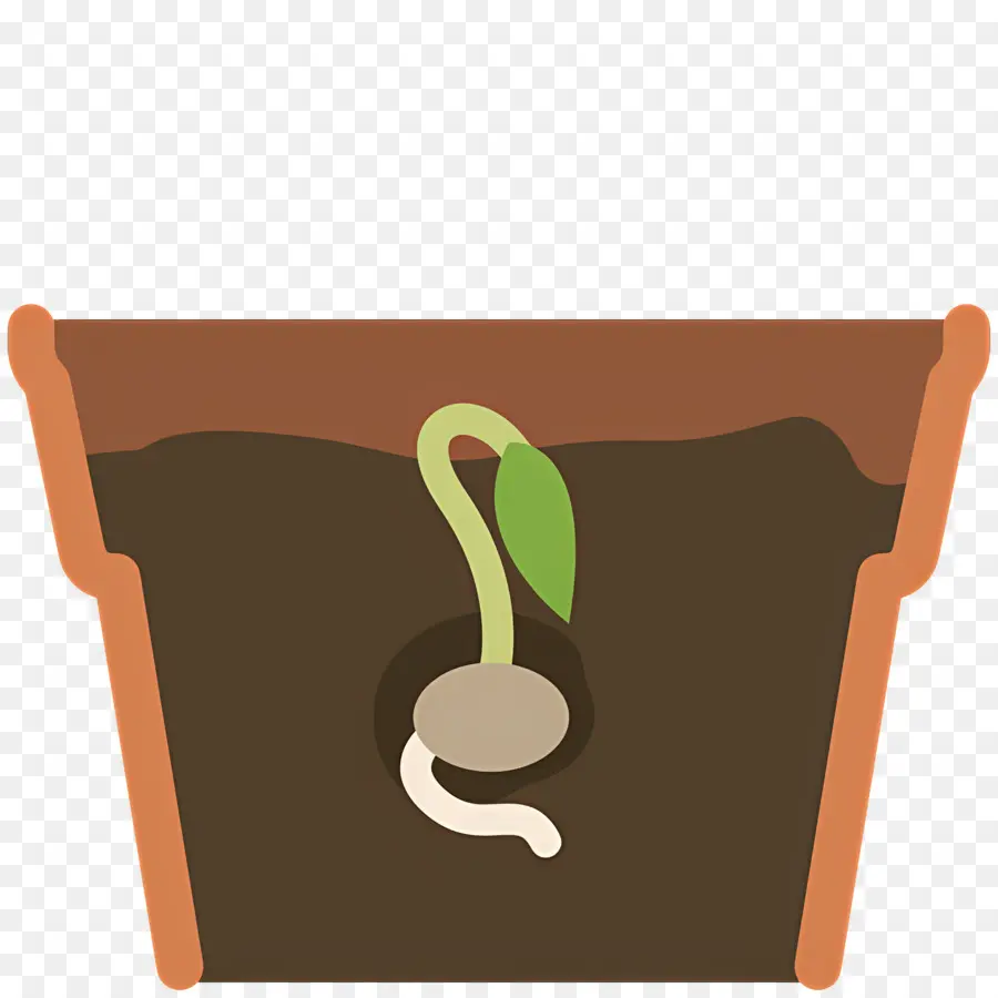 Germinación De Semillas，Planta De Semillero PNG