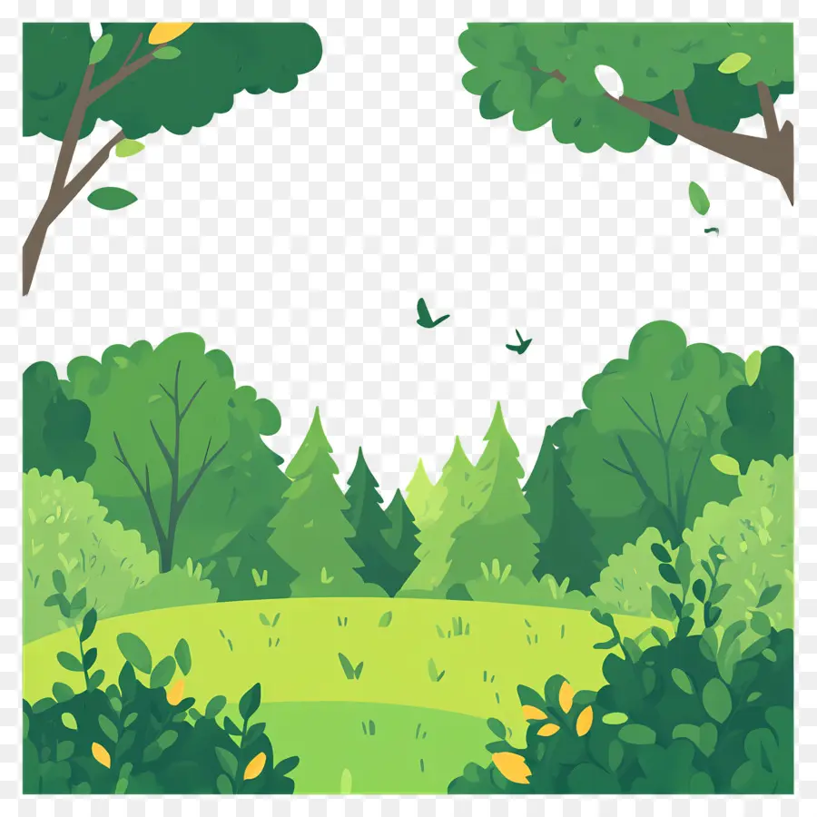 Paisaje Forestal，Bosque Verde PNG