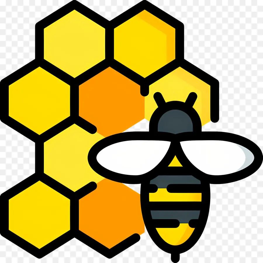 Miel De Abeja，Abeja Y Panal PNG