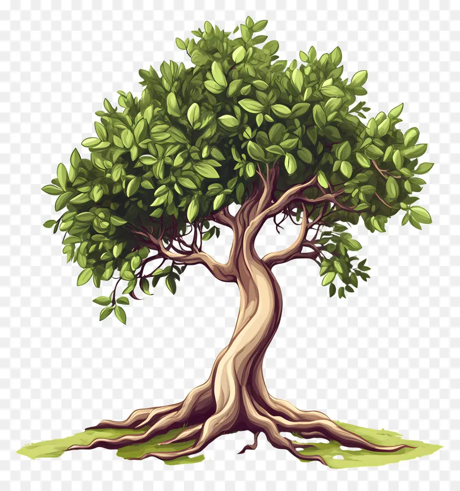 árbol Con Raíces，árbol PNG