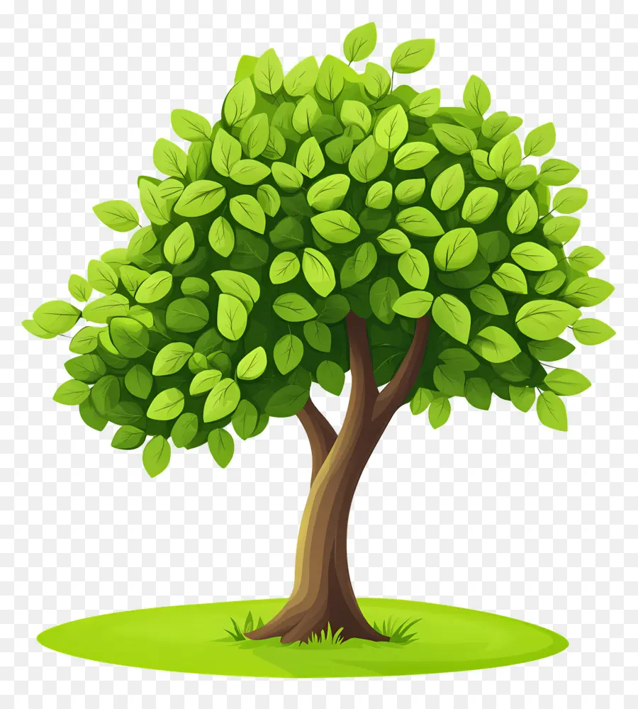 árbol Denso，Árbol PNG