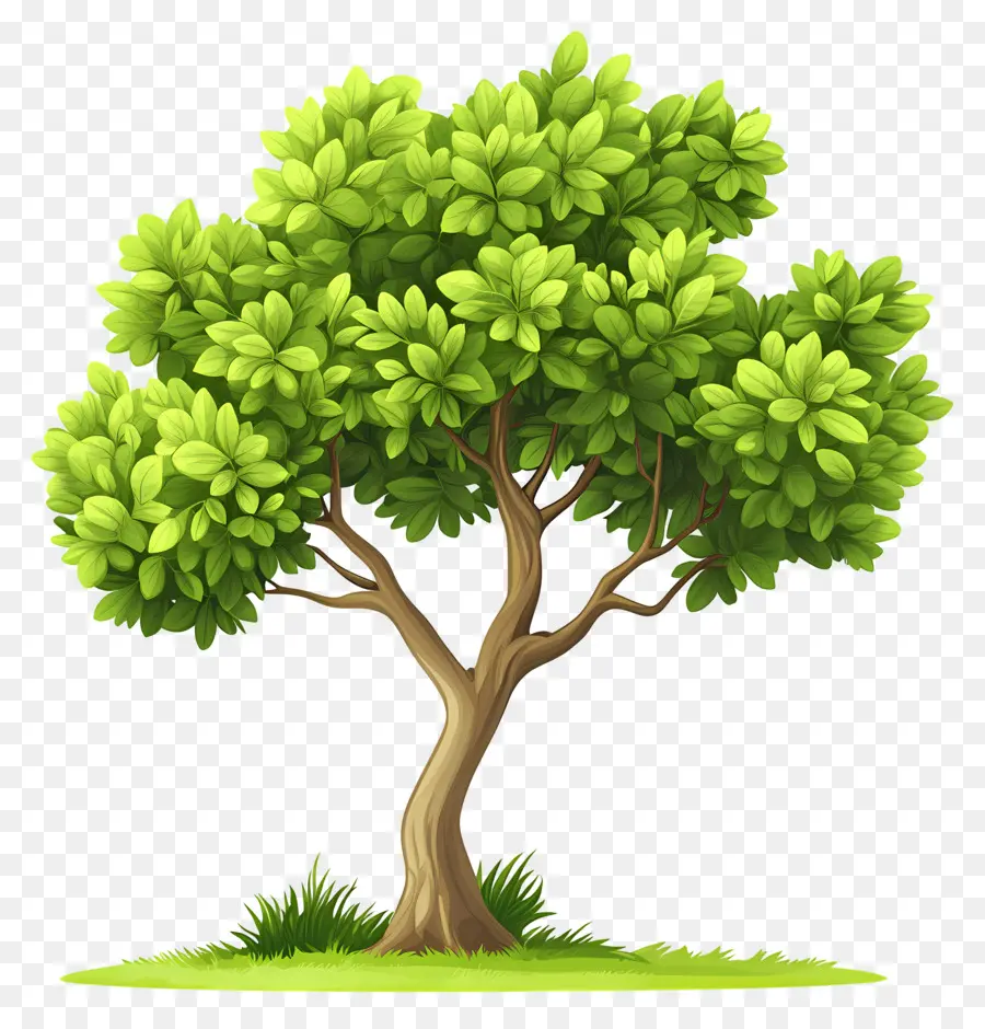 árbol Denso，árbol PNG