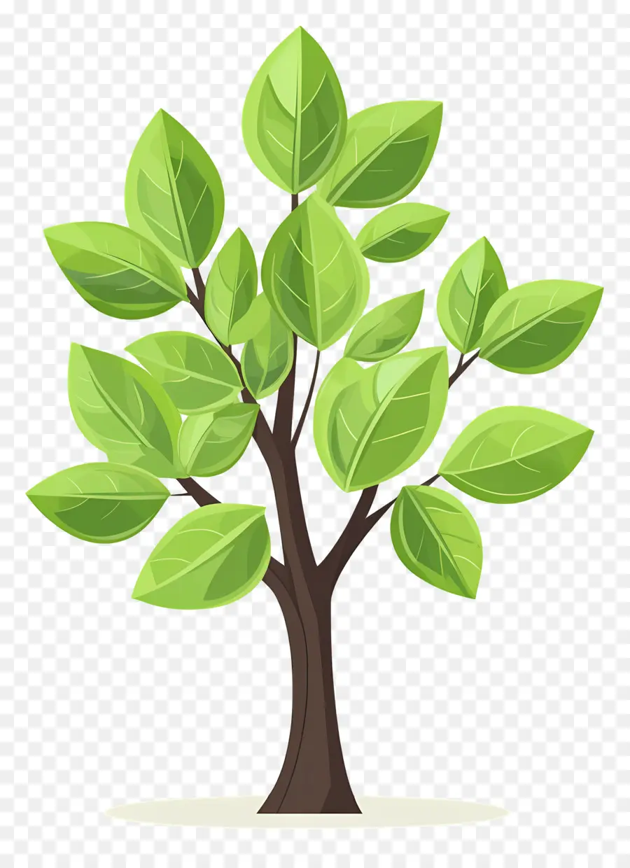 árbol Denso，Árbol PNG