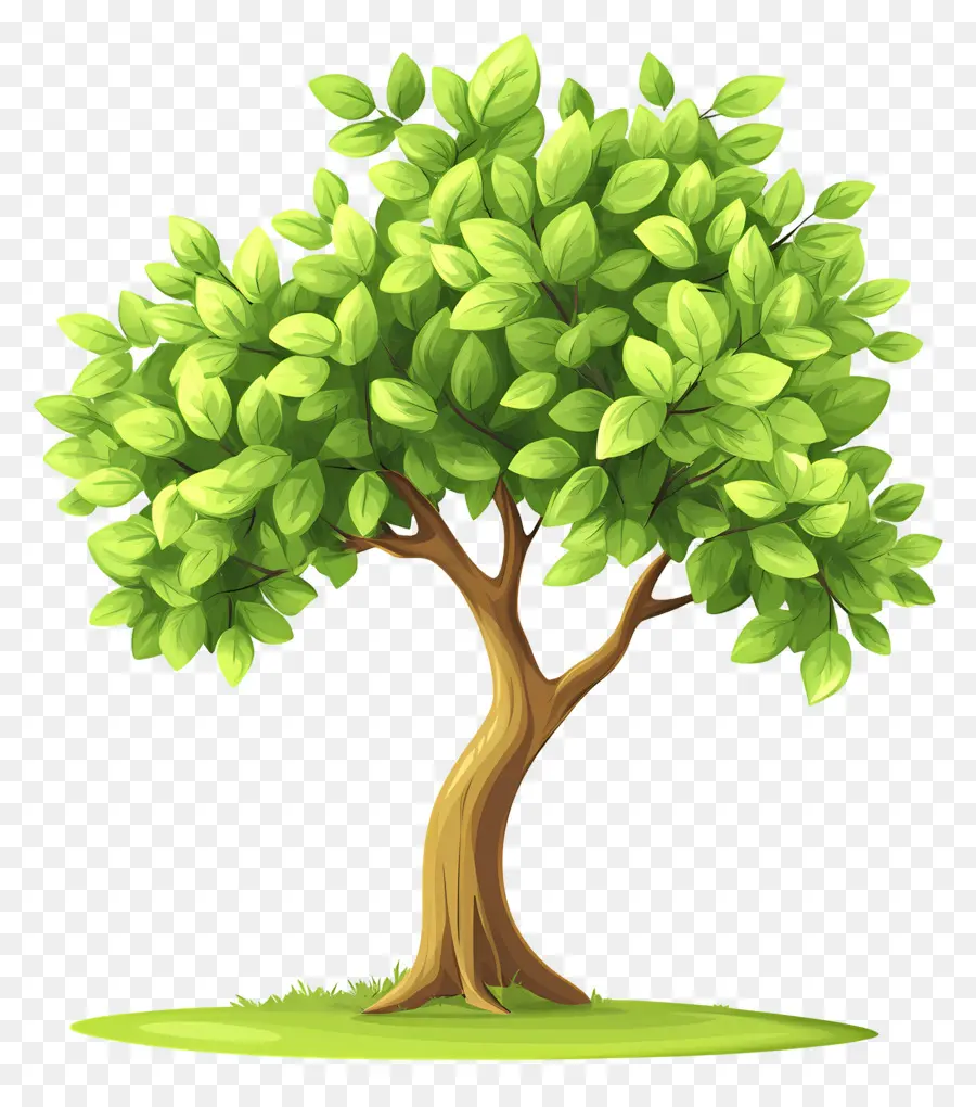 árbol Denso，Árbol PNG