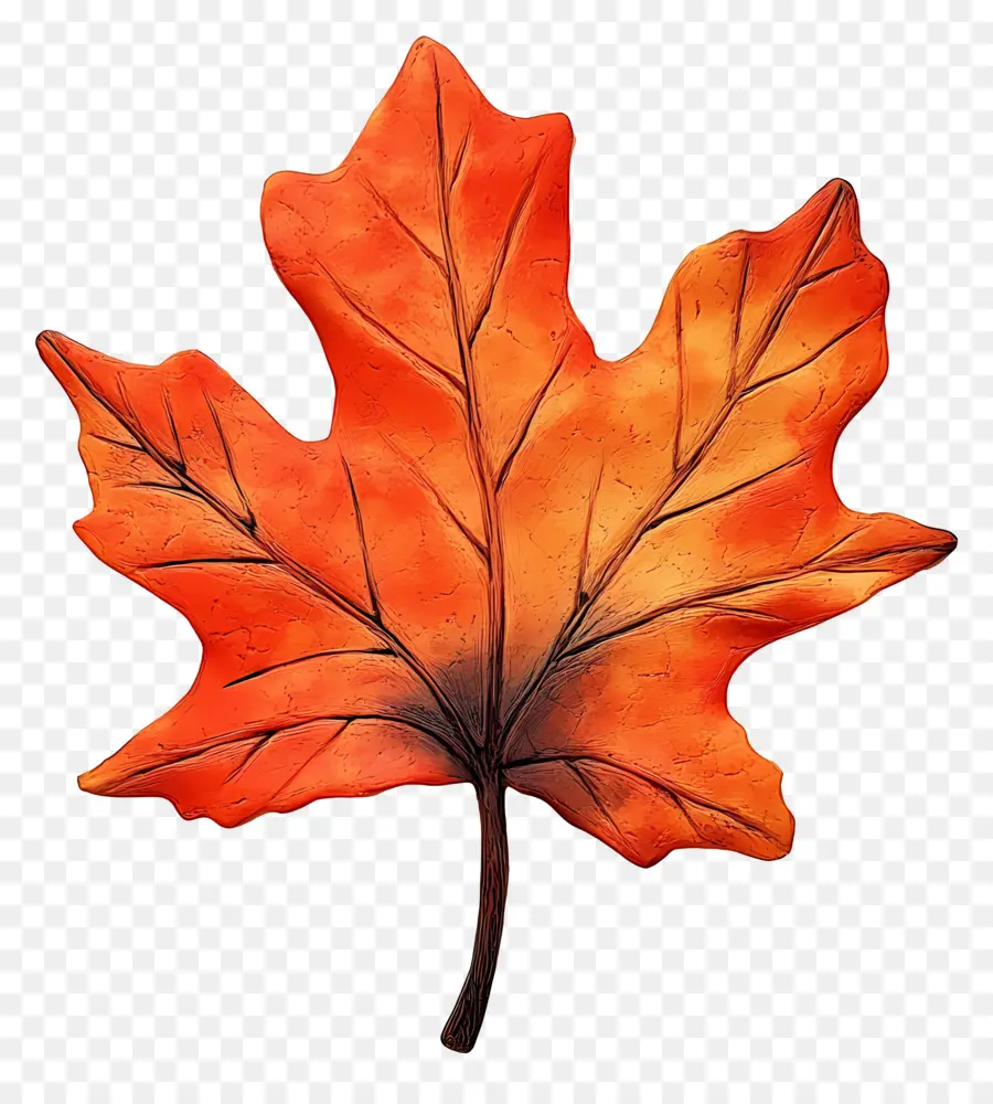 Hoja De Otoño，Caer PNG