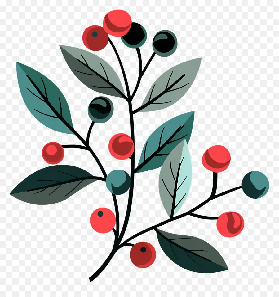 Acebo De Navidad，Planta De Bayas PNG