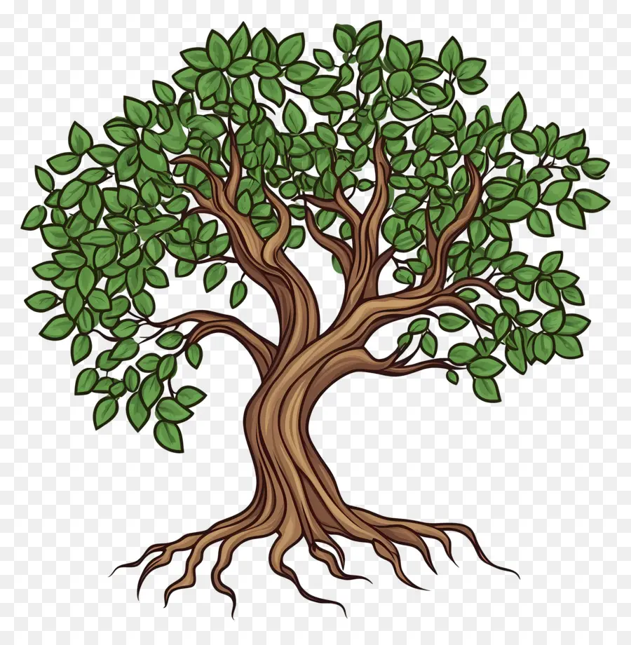 árbol Con Raíces，Árbol Detallado PNG