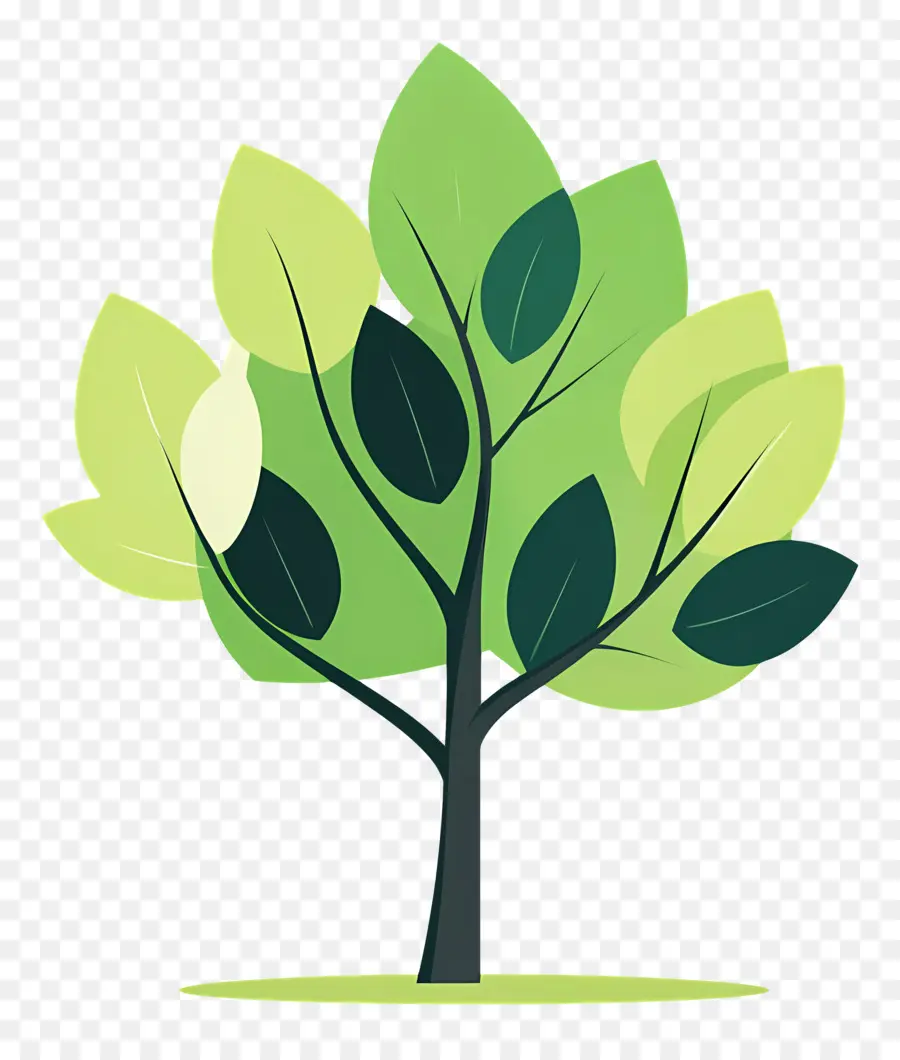 Arbol Sencillo，árboles Simples PNG