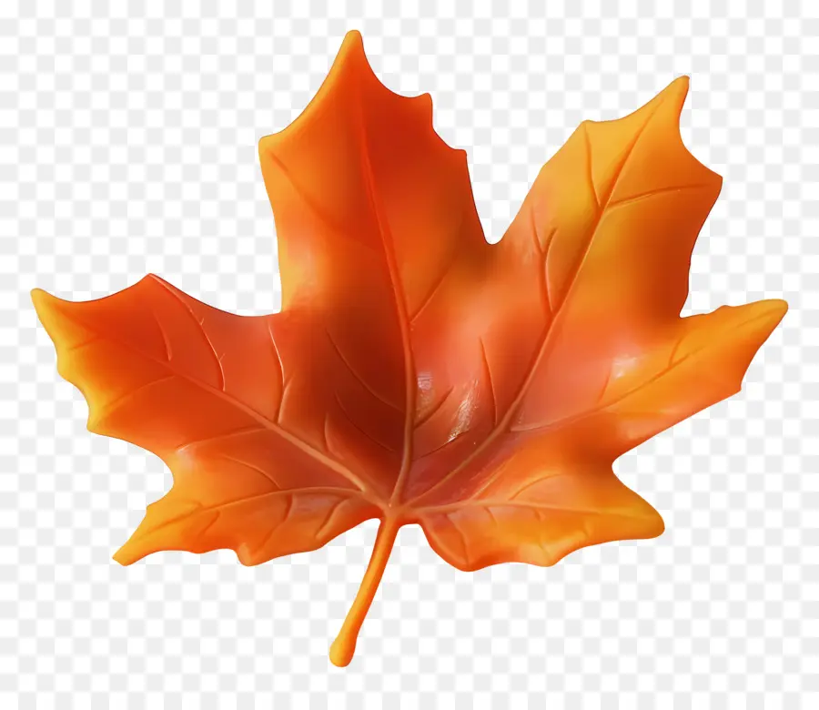 Hoja De Otoño，Caer PNG