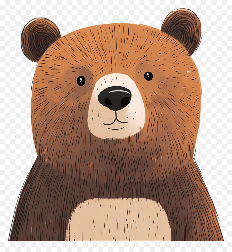 Oso Pardo，Oso De Dibujos Animados PNG