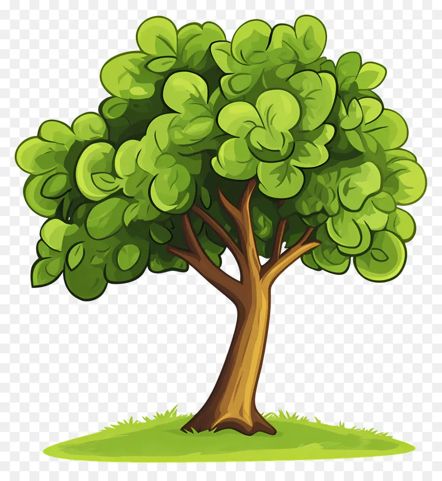 árbol Denso，árbol PNG