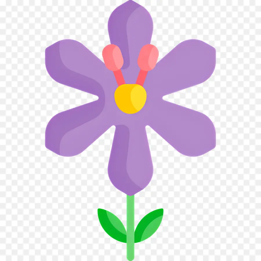 Azafrán，Flor PNG