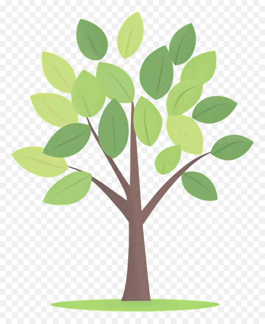 Arbol Sencillo，Árbol PNG