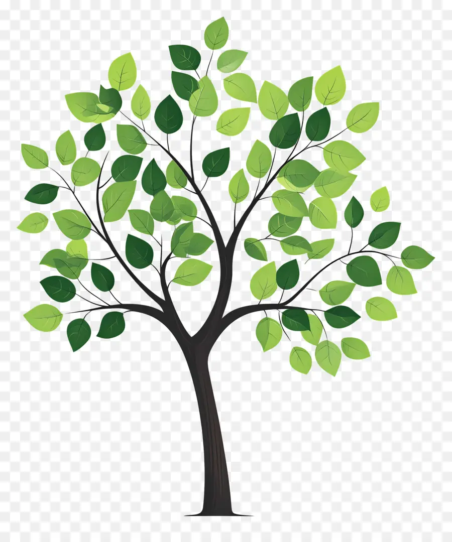 Arbol Sencillo，Árbol PNG