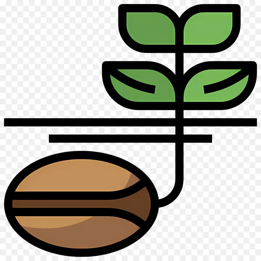 Germinación De Semillas，Planta De Semillero PNG