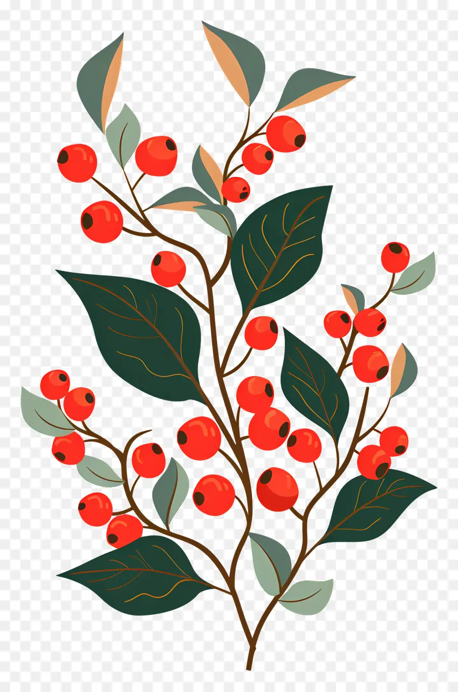 Acebo De Navidad，Frutos Rojos PNG