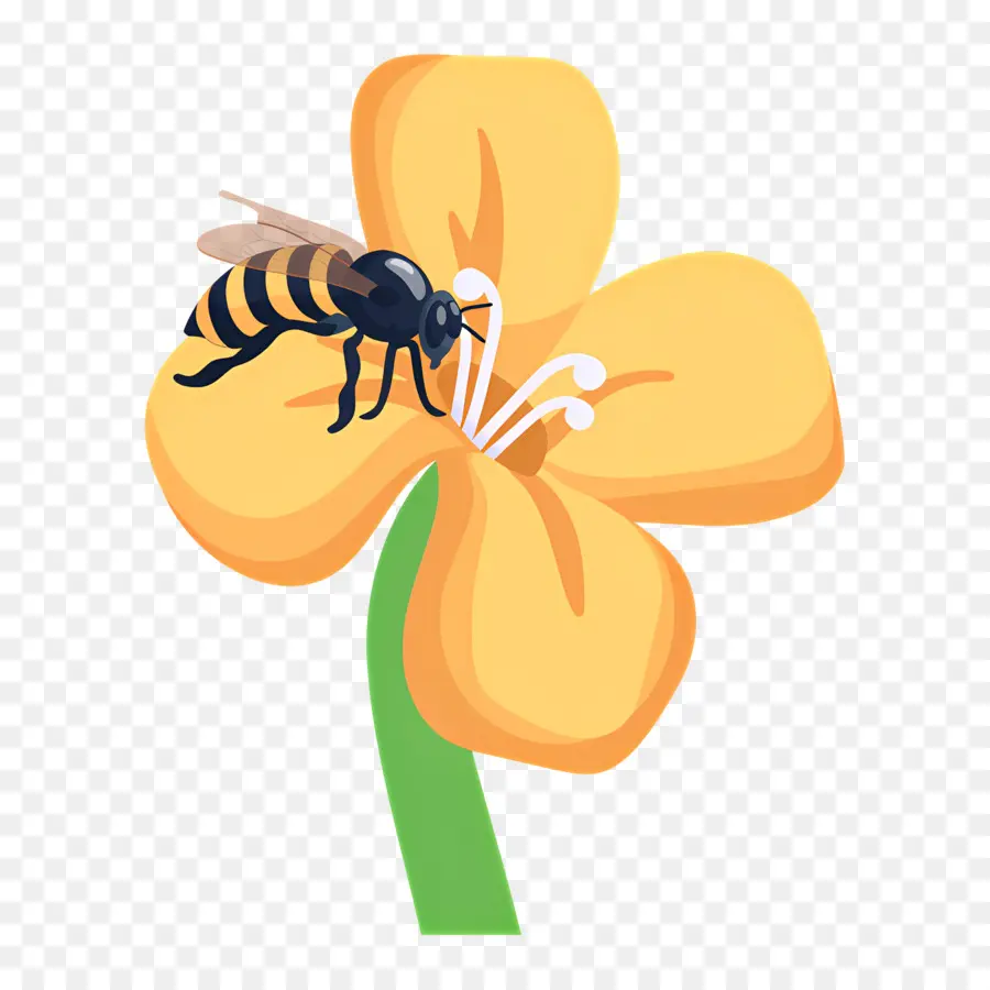 Miel De Abeja，Abeja En Flor PNG