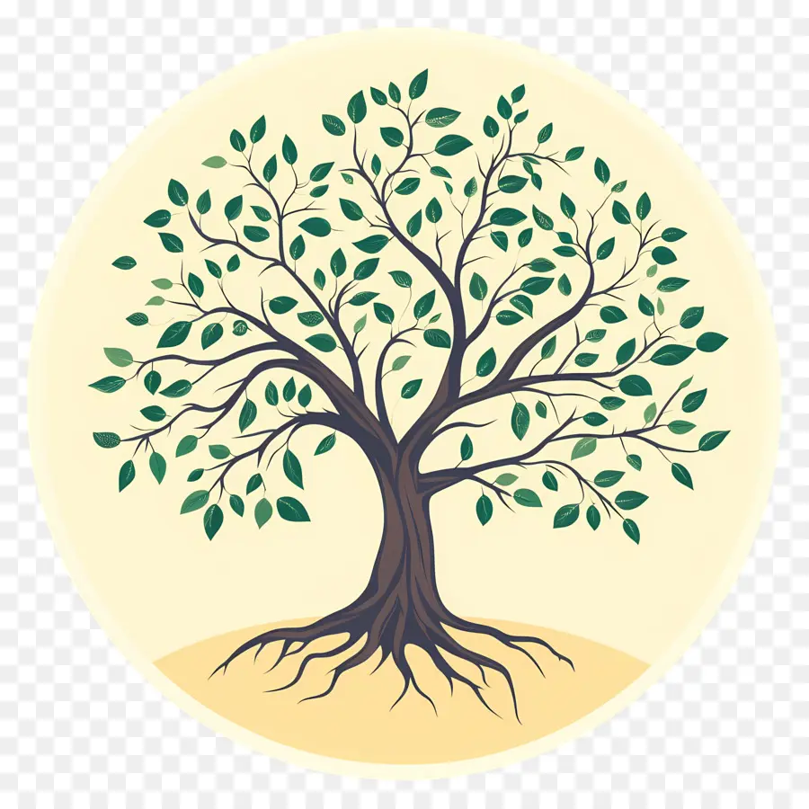 árbol Con Raíces，Árbol PNG