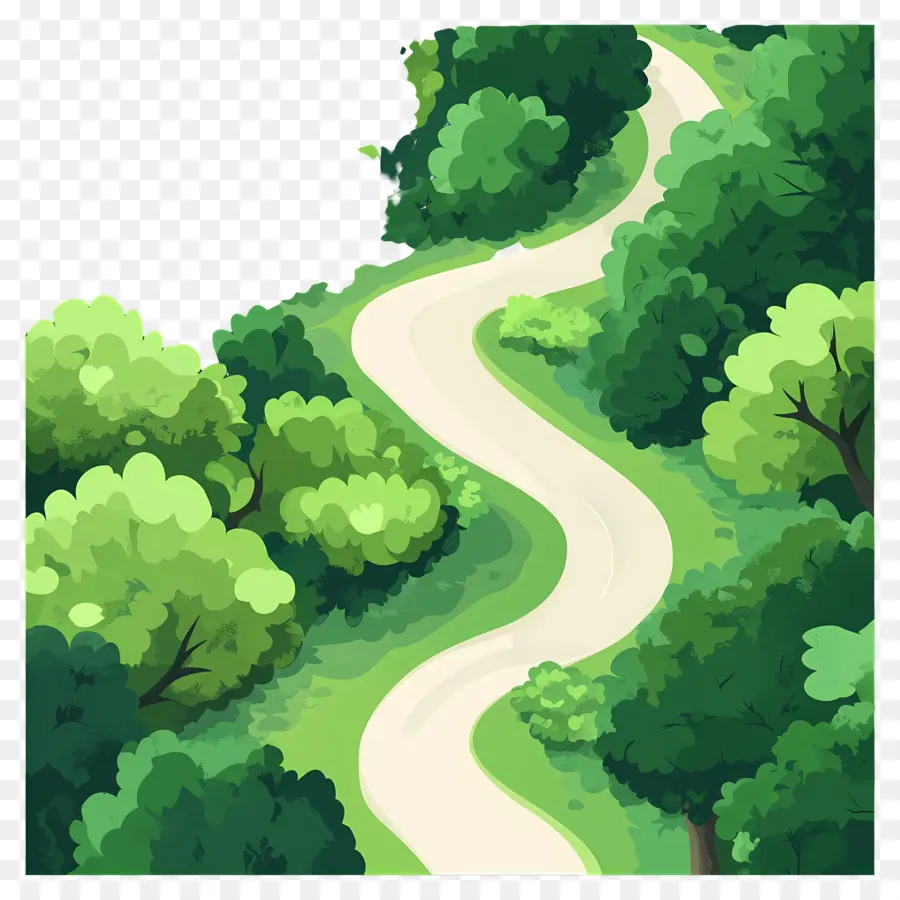 Bosque Denso，Bosque PNG