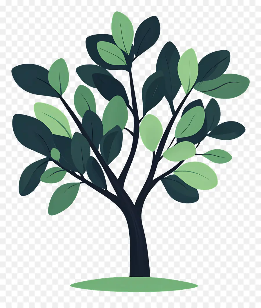 Arbol Sencillo，Árbol PNG