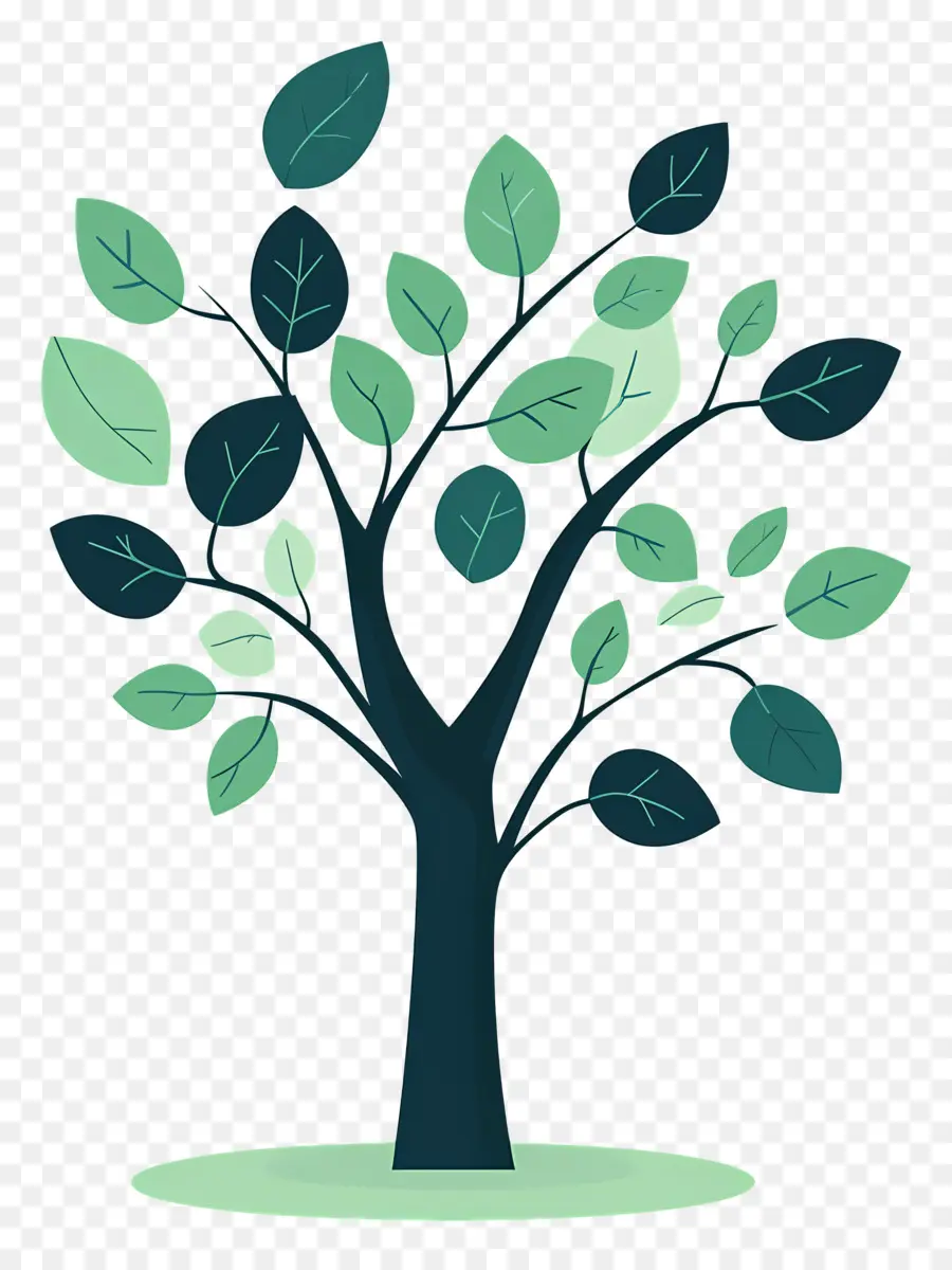 Arbol Sencillo，Árbol PNG