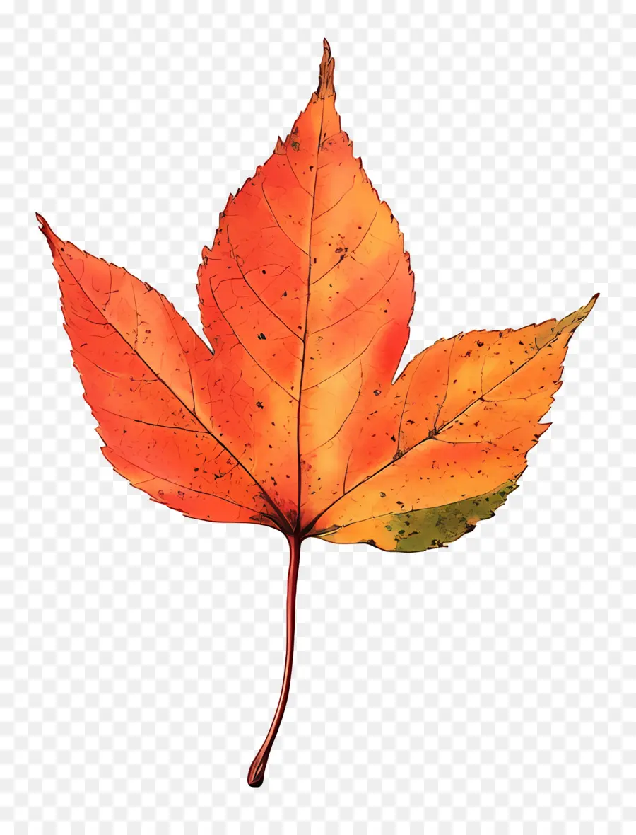 Hoja De Otoño，Caer PNG