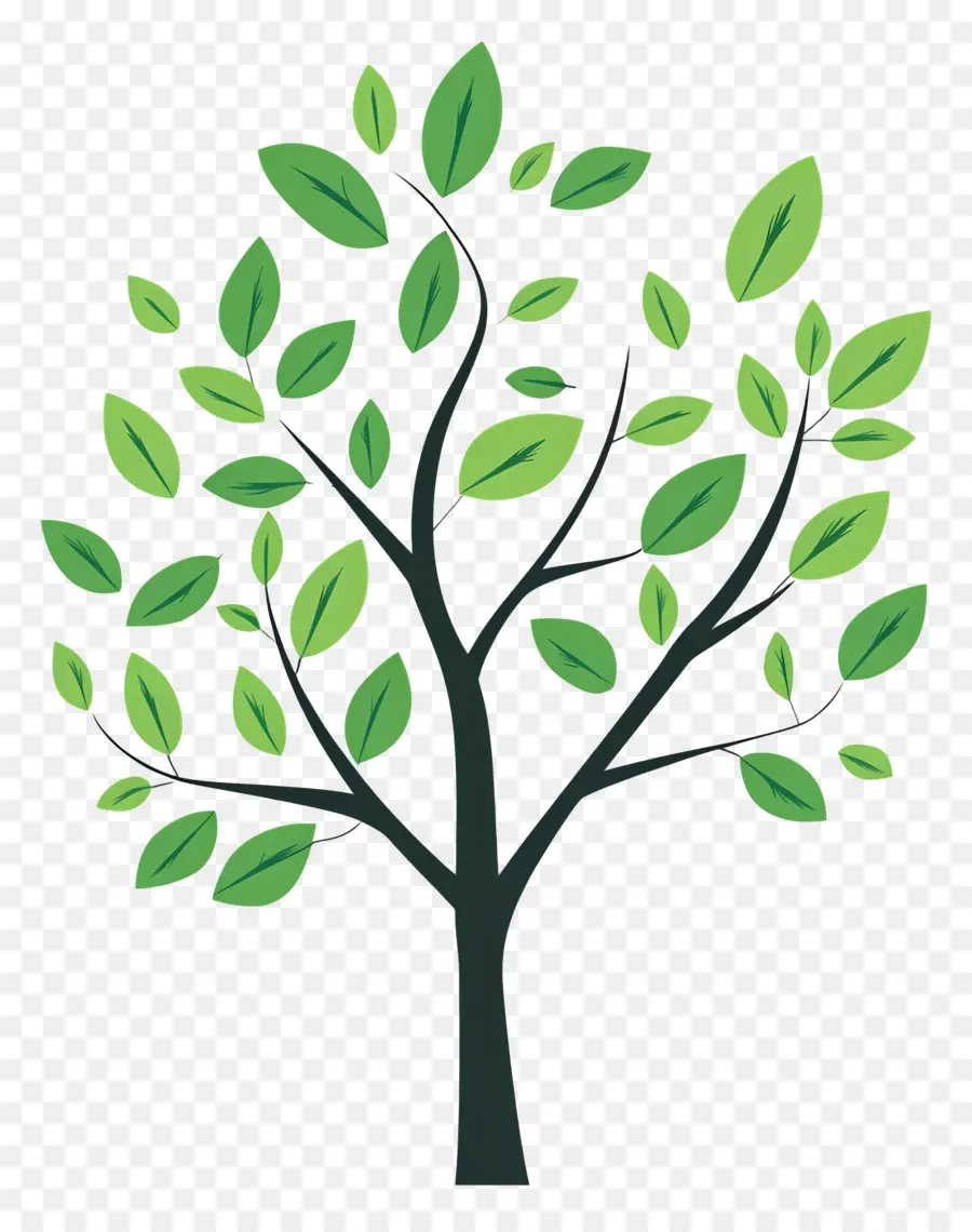 Arbol Sencillo，Árbol PNG