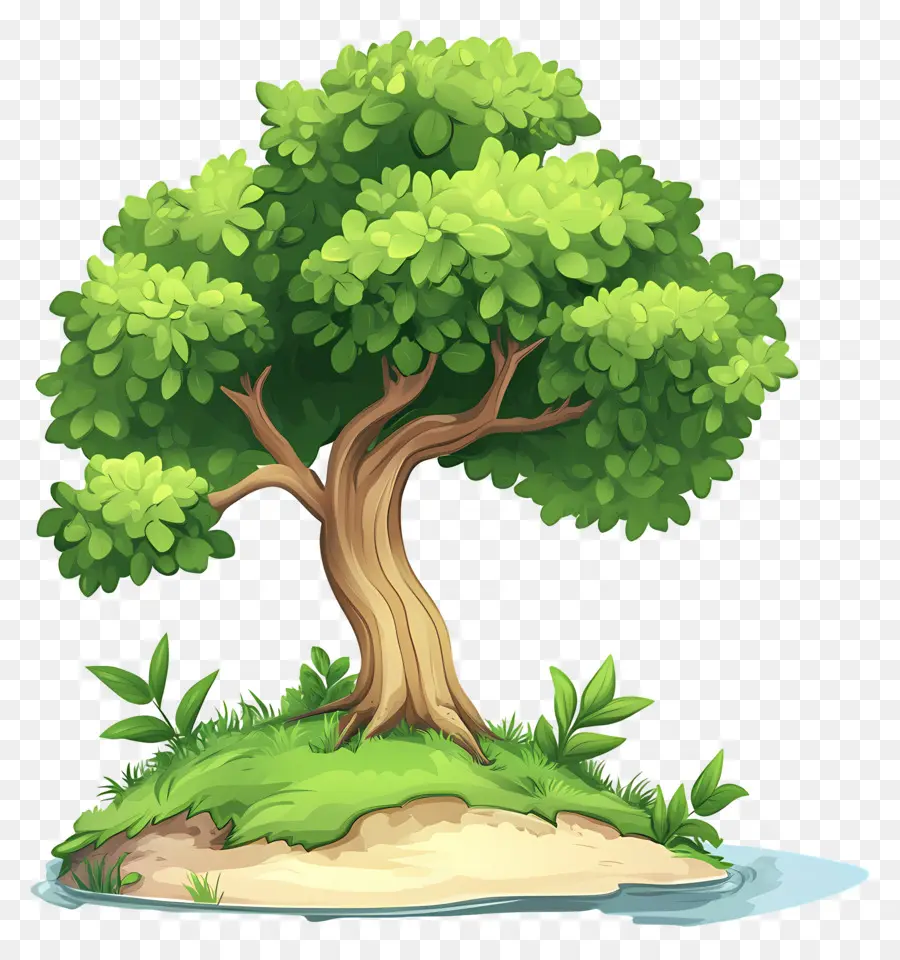 árbol Denso，Árbol PNG