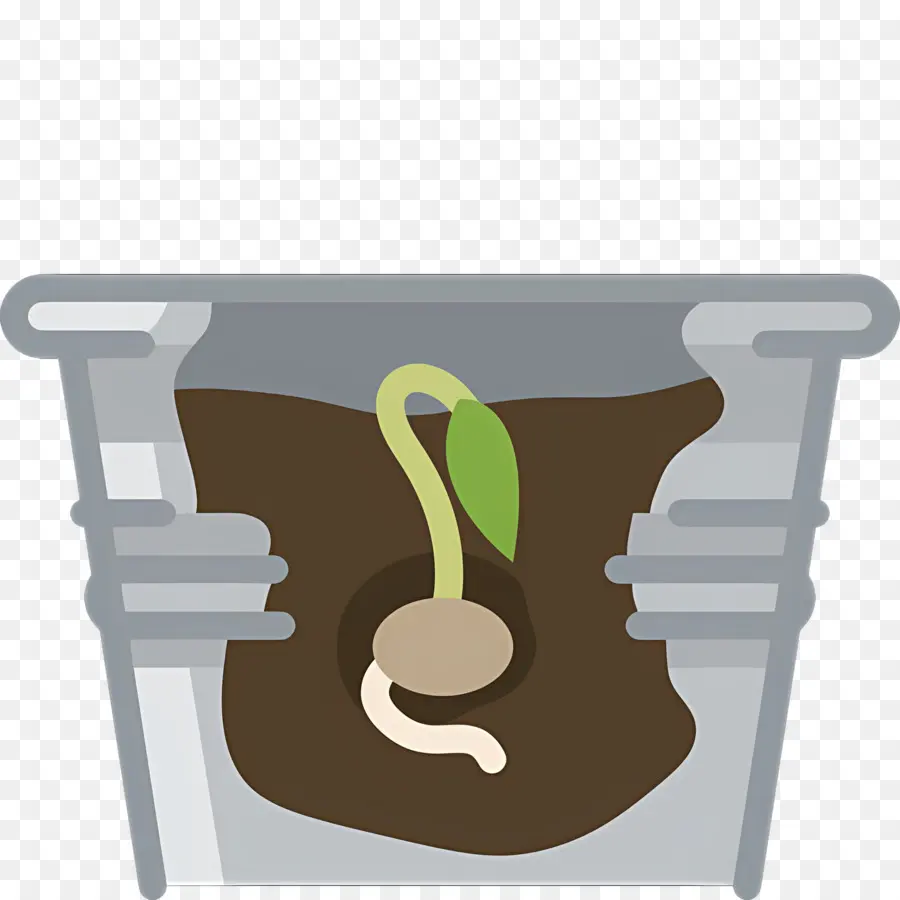 Germinación De Semillas，Planta Que Brota PNG