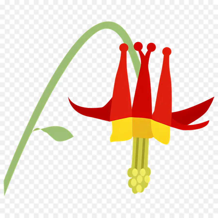 Flor Silvestre，Flor Roja Y Amarilla PNG