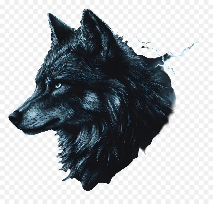 Lobo De Fantasía，Lobo PNG