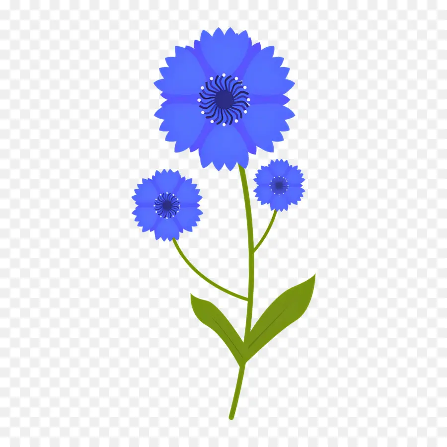 Flor Silvestre，Flores Azules PNG