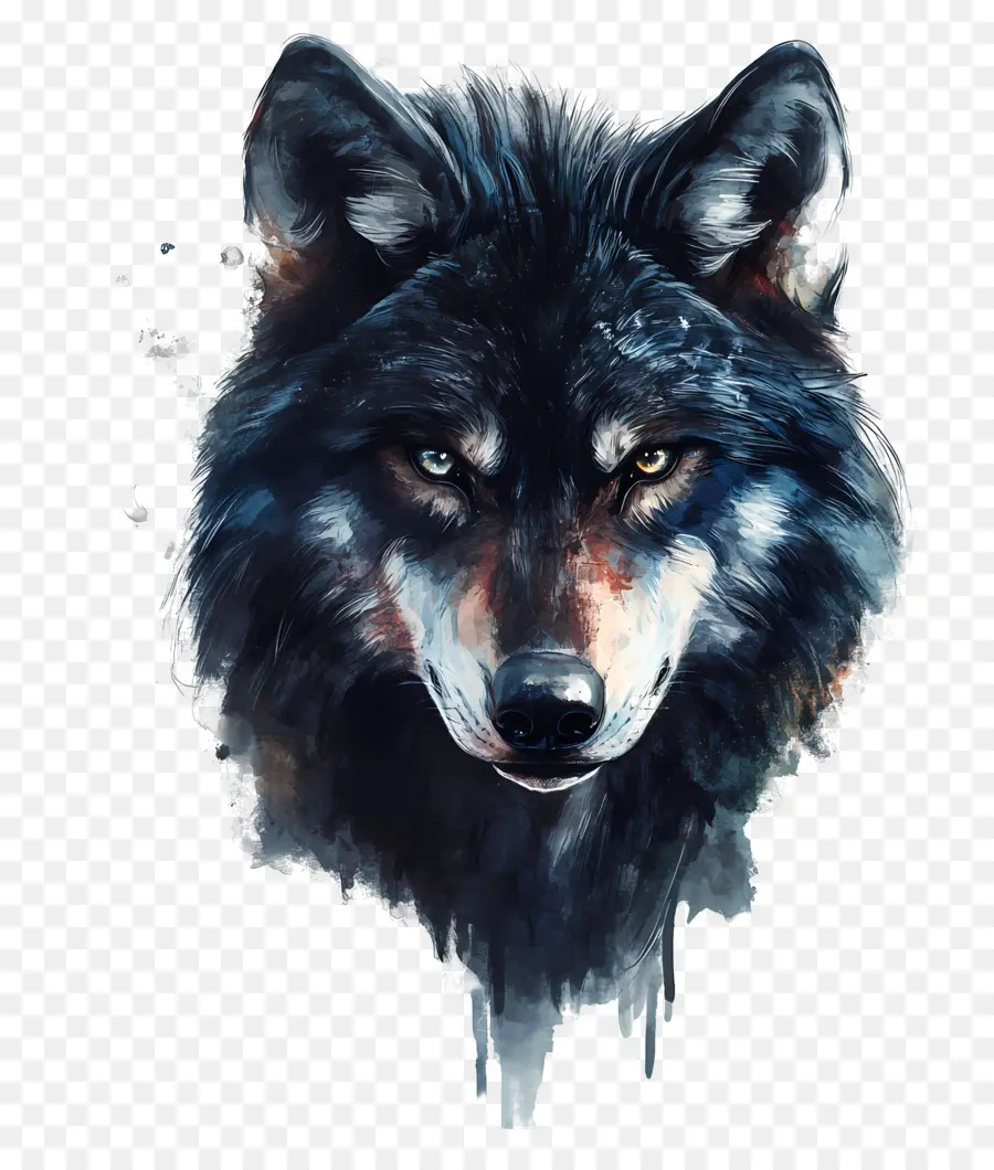 Lobo Genial，Lobo PNG