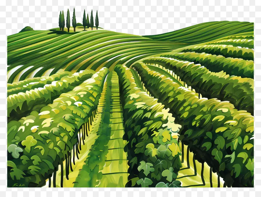 Paisaje De Italia，Colinas Verdes PNG