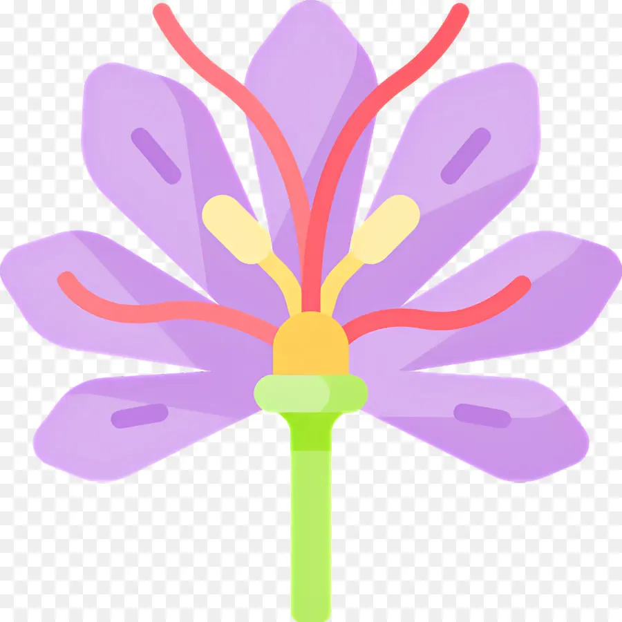 Azafrán，Flor Morada PNG