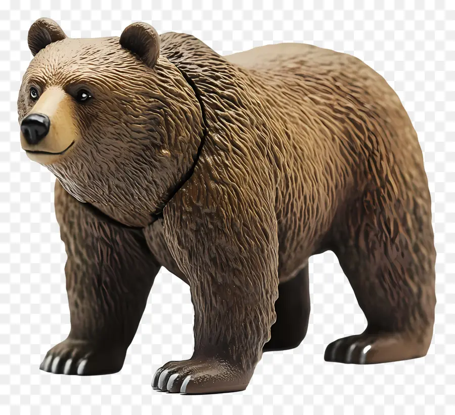 Oso Pardo，Oso PNG