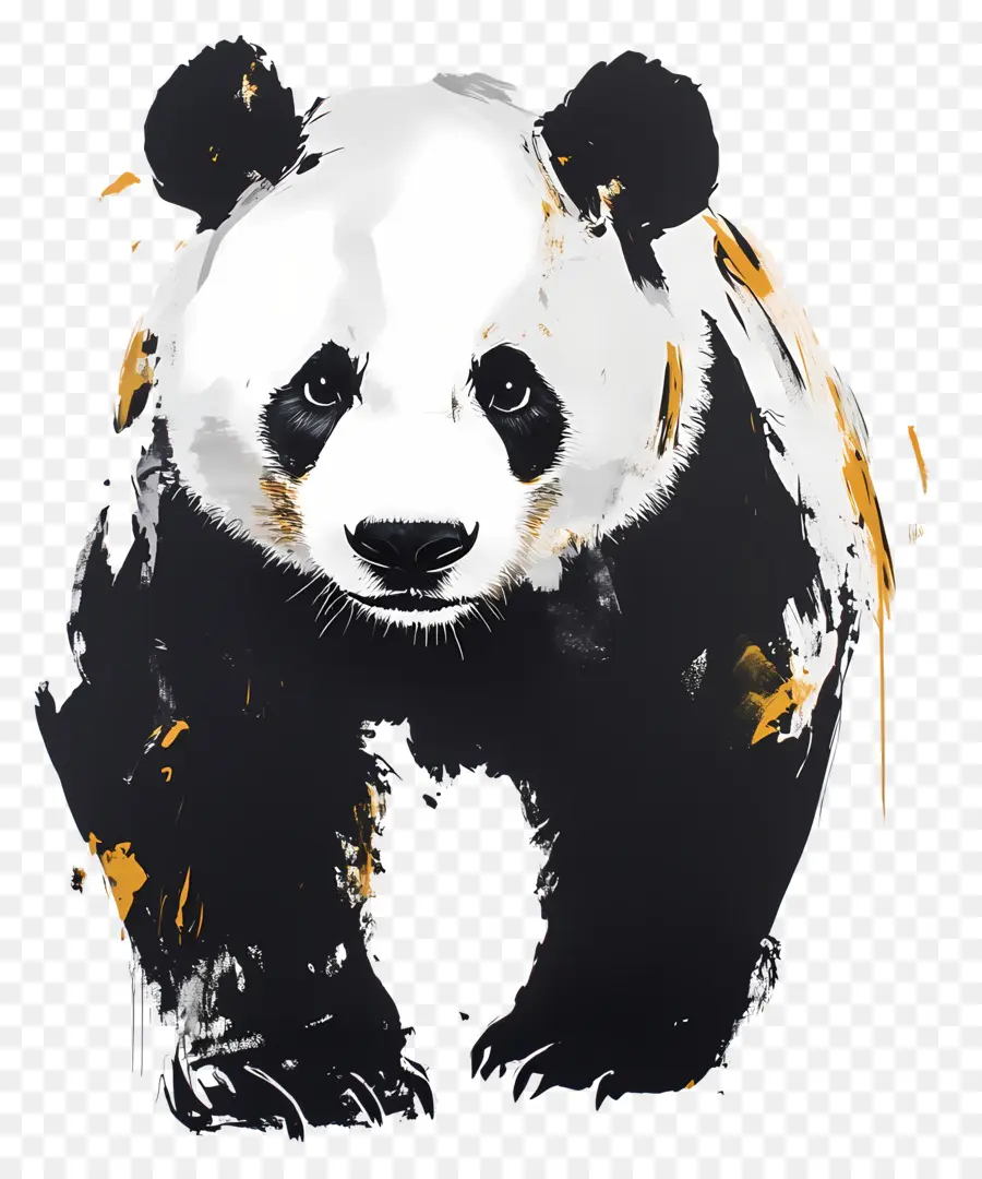 Oso Panda，Panda PNG