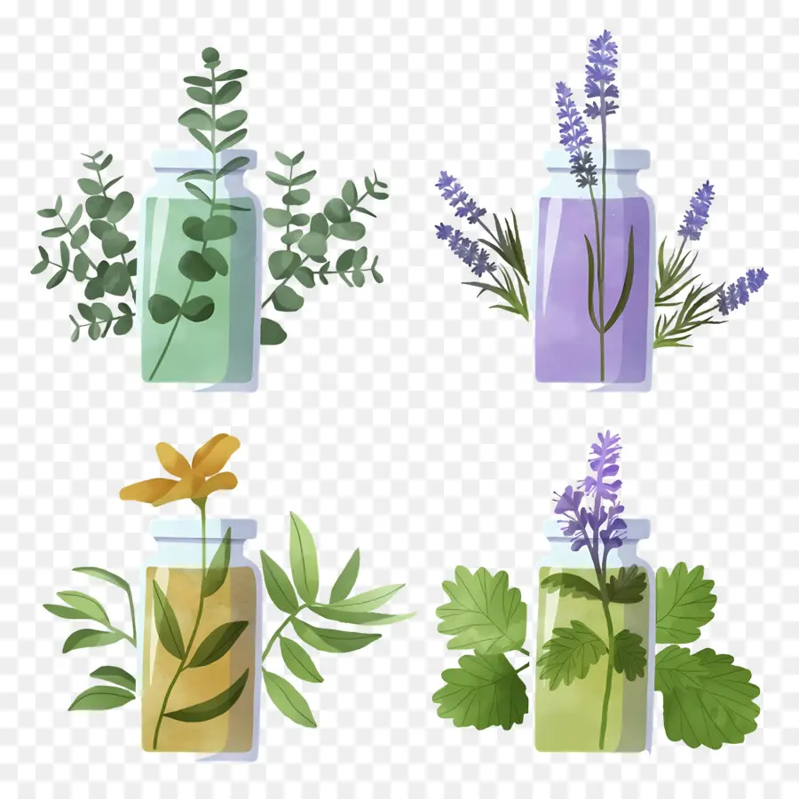 Elementos De Aromaterapia，Hierbas En Frascos PNG