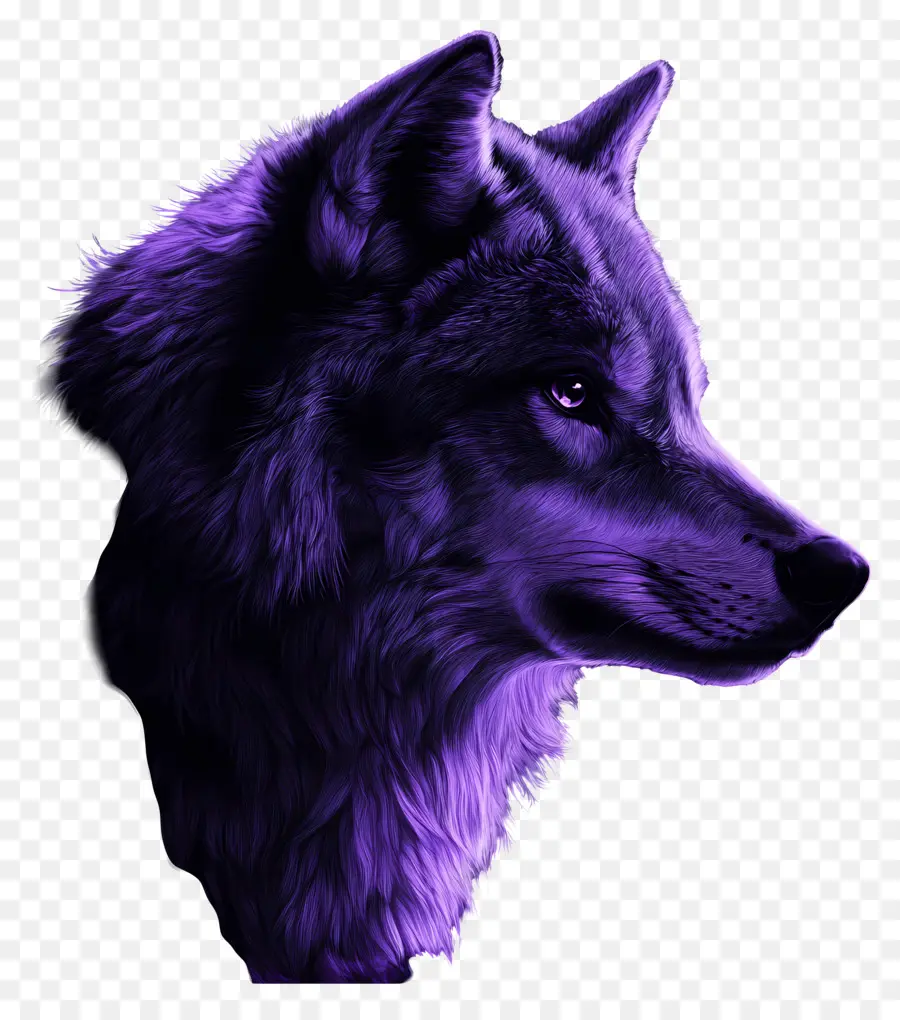 Lobo De Fantasía，Lobo PNG