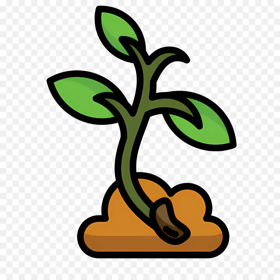 Germinación De Semillas，Planta PNG