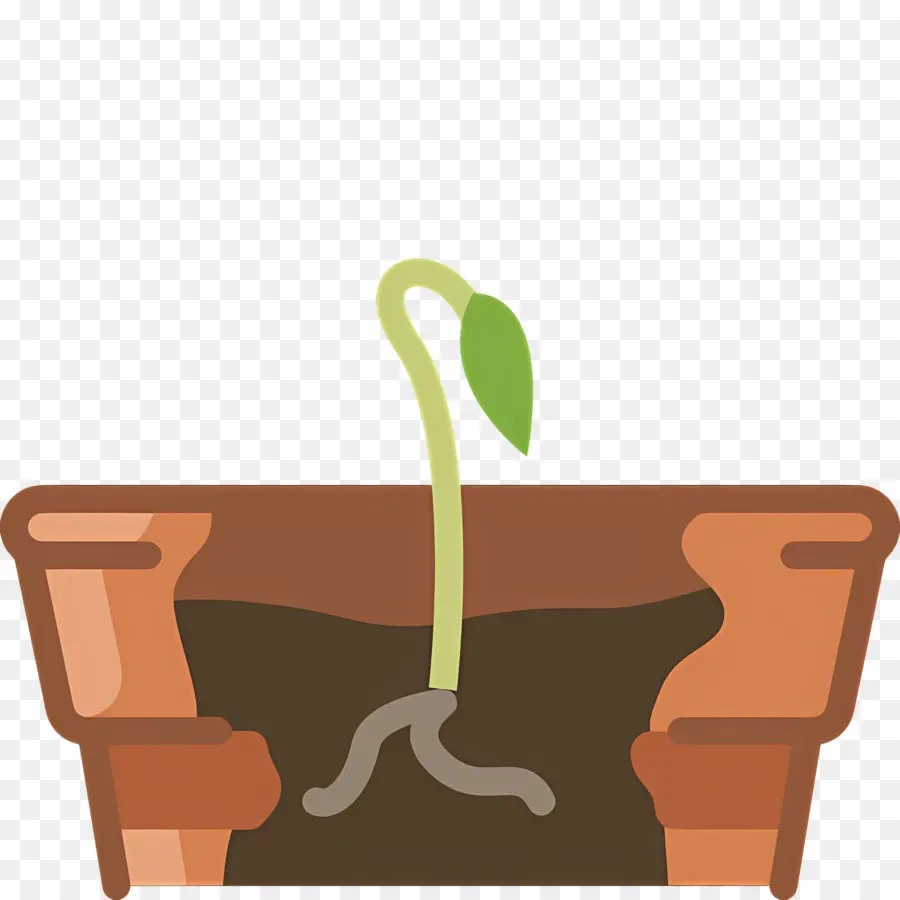 Germinación De Semillas，Brote De Planta PNG